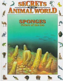 Sponges