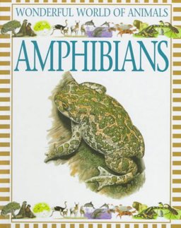 Amphibians Amphibians