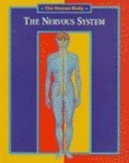 The Nervous System The Nervous System