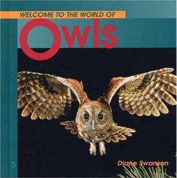 Welcome to the World of Owls