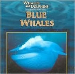 Blue Whales