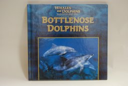 Bottlenose Dolphins