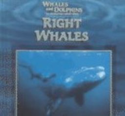 Right Whales