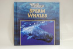 Sperm Whales