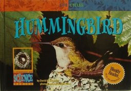 Hummingbird