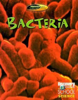 Bacteria