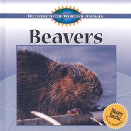 Beavers