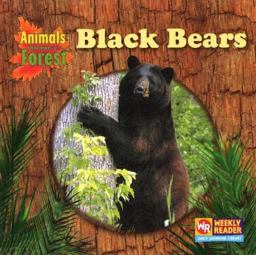 Black Bears