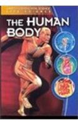 The Human Body