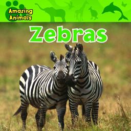 Zebras