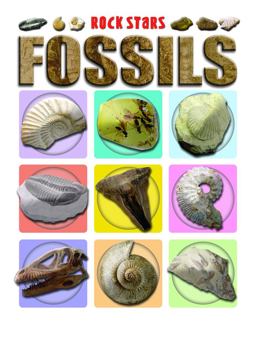 Fossils Fossils