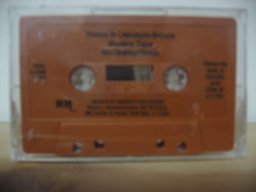 Voices in Literature Silver