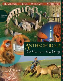 Anthropology The Human Challenge 13th 9780840033314 Front Cover