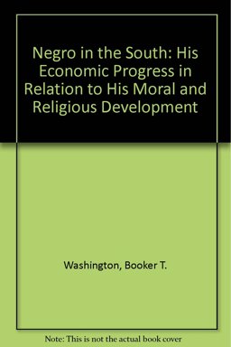 The Negro in the South