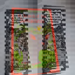 In Search of the Saveopotomas