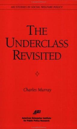 The Underclass Revisited