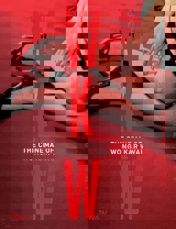 WKW: the Cinema of Wong Kar Wai  9780847846177 Front Cover