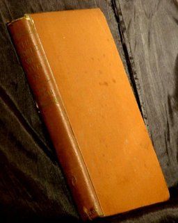 The World We Live In