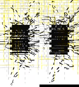 Restless DVD Based Study Kit Because You Were Made for More  9780849922350 Front Cover