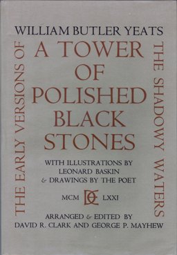 A Tower of Polished Black Stones