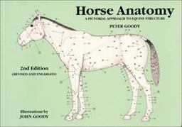 Horse Anatomy A Pictorial Approach to Equine Structure 2nd 9780851317694 Front Cover