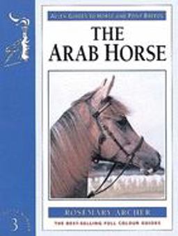Arab Horse Arab Horse