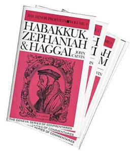 Commentaries on the Minor Prophets