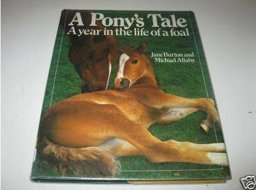 Ponys Tale