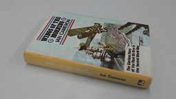 Wings of the Morning