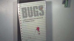 Bugs