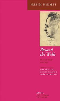 Beyond the Walls  9780856463297 Front Cover