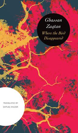 Where the Bird Disappeared  9780857425423 Front Cover