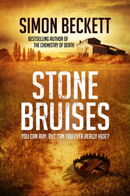 Stone Bruises  9780857502582 Front Cover