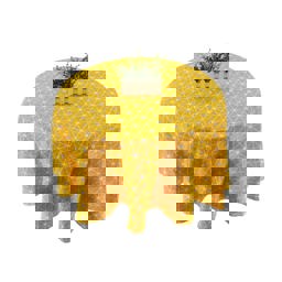 Princess More Tears to Cry  9780857502865 Front Cover