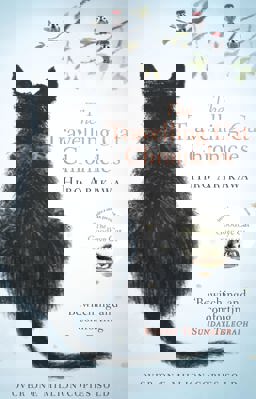 Travelling Cat Chronicles The Life-Affirming One Million Copy Bestseller  9780857524195 Front Cover