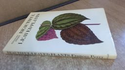 Beautiful Leaved Plants