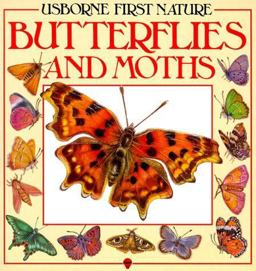 Butterflies and Moths