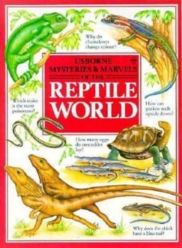 Reptile World