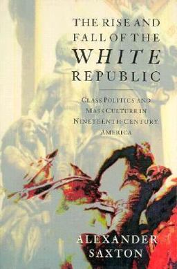 Rise and Fall of the White Republic Class Politics and Mass Culture in Nineteenth Century America  9780860919865 Front Cover