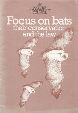 Focus on Bats