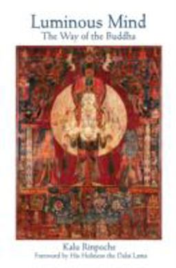 Luminous Mind The Way of the Buddha  9780861711185 Front Cover