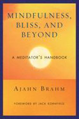 Mindfulness, Bliss, and Beyond A Meditator's Handbook  9780861712755 Front Cover