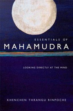 Essentials of Mahamudra Looking Directly at the Mind  9780861713714 Front Cover