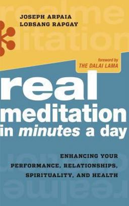 Real Meditation in Minutes a Day Enhancing Your Performance, Relationships, Spirituality, and Health  9780861715565 Front Cover