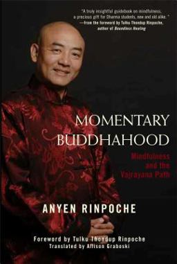Momentary Buddhahood Mindfulness and the Vajrayana Path  9780861715985 Front Cover