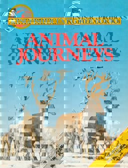 Animal Journeys