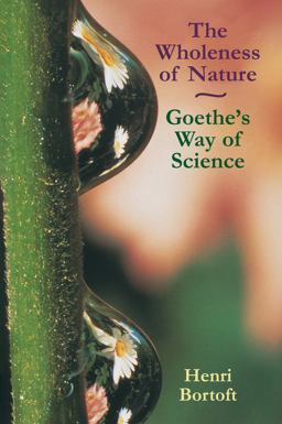 The Wholeness of Nature  9780863152382 Front Cover