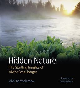 Hidden Nature The Startling Insights of Viktor Schauberger  9780863154324 Front Cover