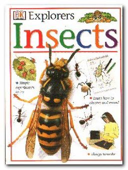 Insects