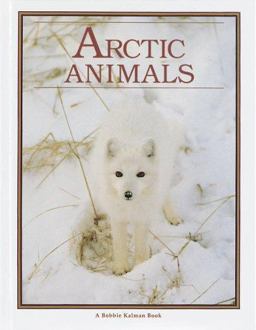Arctic Animals Arctic Animals